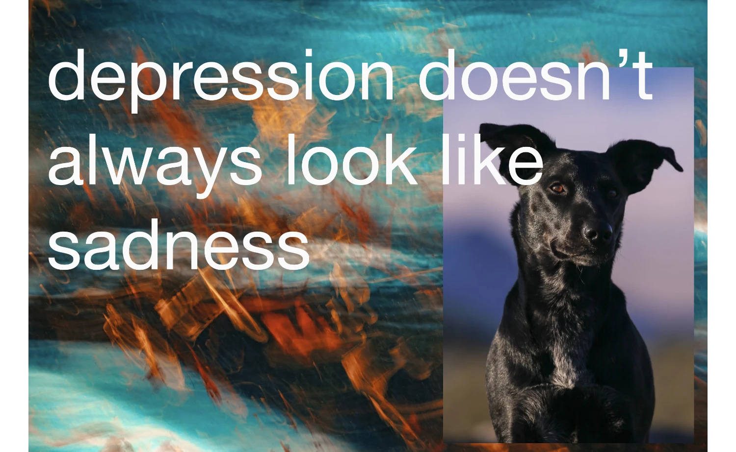 leashing the black dog: understanding depression and what to do about it